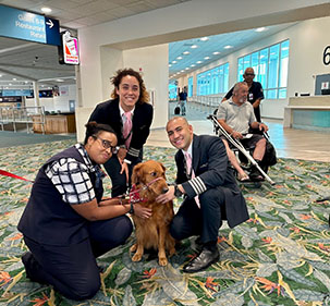 MLB Comfort Canines